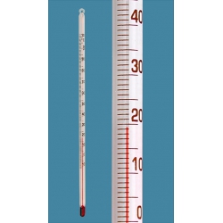 Termometr szklany bezrtęciowy G11584 (bagietkowy, -10...+110/1,0°C) Amarell